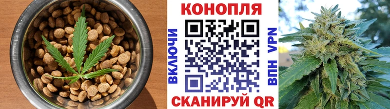 купить наркоту  Шебекино  Canna-Cookies конопля 