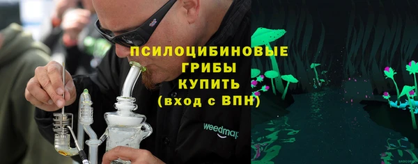 сатива Михайловск