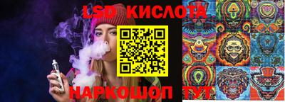 гашик Бузулук