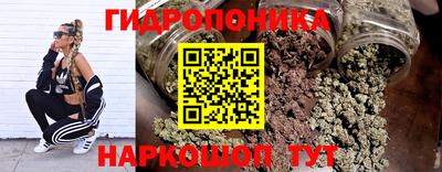 гашик Бузулук