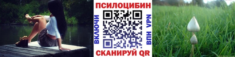 где можно купить   Шебекино  kraken зеркало  Псилоцибиновые грибы MAGIC MUSHROOMS 