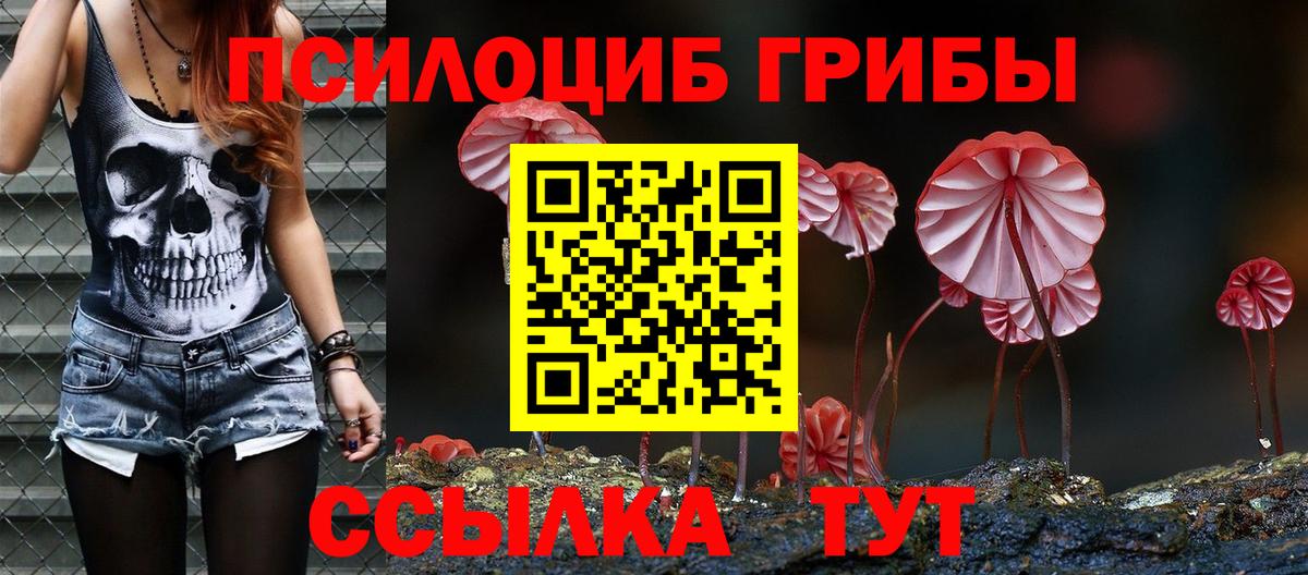 Галлюциногенные грибы Cubensis  Вход с VPN  Шебекино  Галлюциногенные грибы Psilocybine cubensis 